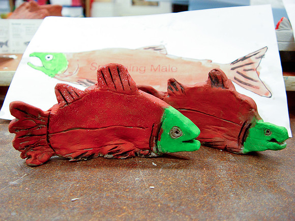 2014 Adams River Community Art Project-7