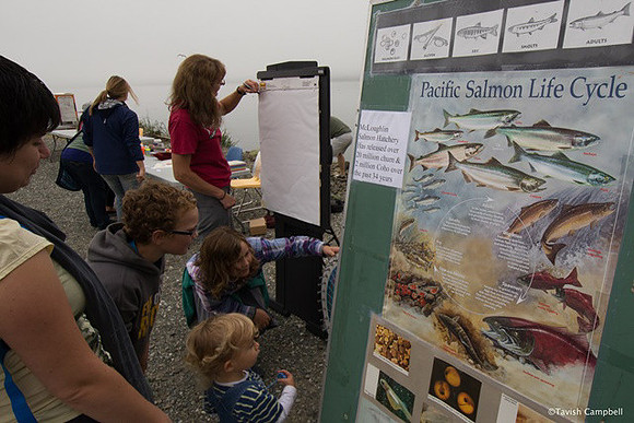 2014 Bella Bella Salmon Education Project-6