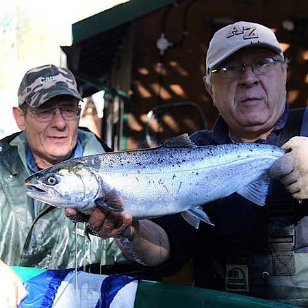 2014 Broodstock netting_Port Coquitlam District & Hunting