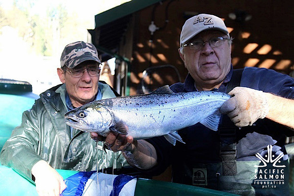 2014 Broodstock netting_Port Coquitlam District & Hunting-11 - LOGO