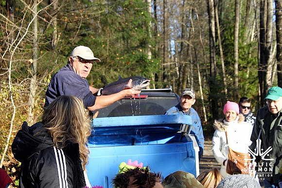2014 Broodstock netting_Port Coquitlam District & Hunting-15 - LOGO