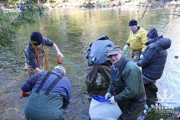 2014 Broodstock netting_Port Coquitlam District & Hunting-18 - LOGO