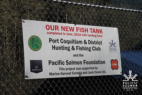 2014 Broodstock netting_Port Coquitlam District & Hunting-4 - LOGO