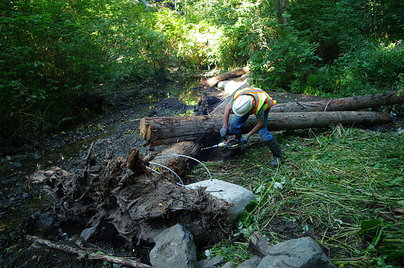2014 Harbour City River Stewards-10