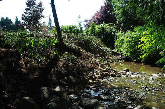 2014 Harbour City River Stewards-21