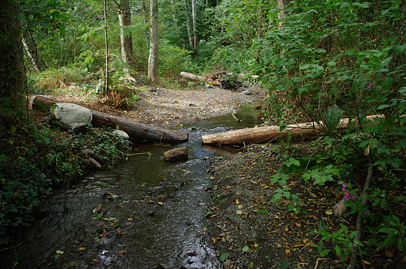 2014 Harbour City River Stewards-70