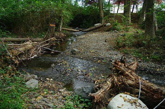 2014 Harbour City River Stewards-71