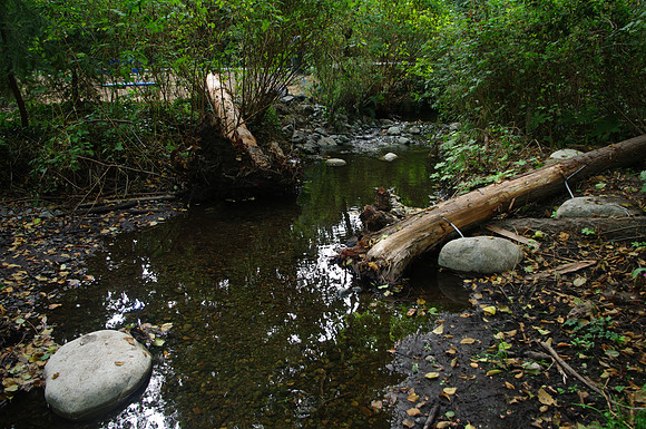 2014 Harbour City River Stewards-72