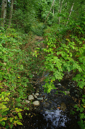 2014 Harbour City River Stewards-74