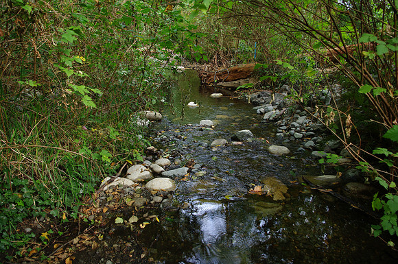 2014 Harbour City River Stewards-75