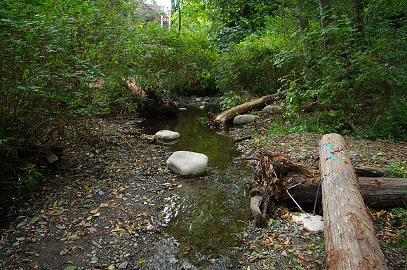 2014 Harbour City River Stewards-77