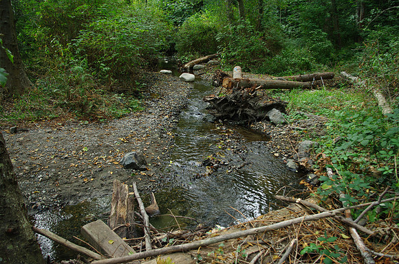 2014 Harbour City River Stewards-79