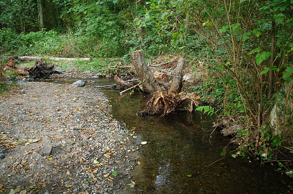 2014 Harbour City River Stewards-80