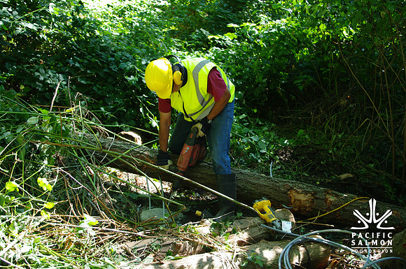 2014 Harbour City River Stewards-13 - LOGO