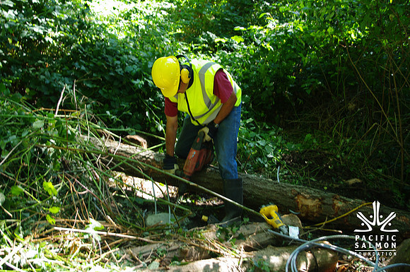 2014 Harbour City River Stewards-14 - LOGO