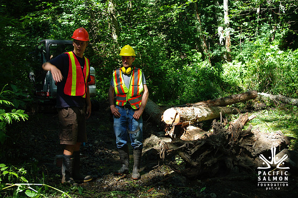 2014 Harbour City River Stewards-15 - LOGO