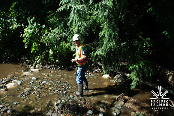 2014 Harbour City River Stewards-17 - LOGO