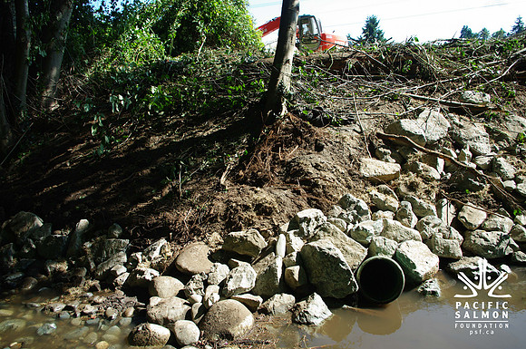 2014 Harbour City River Stewards-18 - LOGO