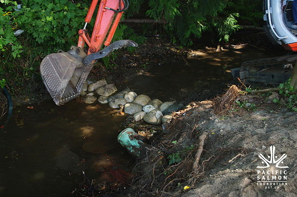 2014 Harbour City River Stewards-29 - LOGO