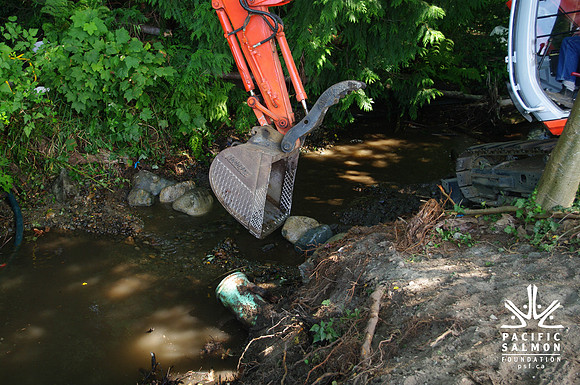 2014 Harbour City River Stewards-39 - LOGO