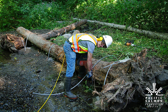 2014 Harbour City River Stewards-6 - LOGO