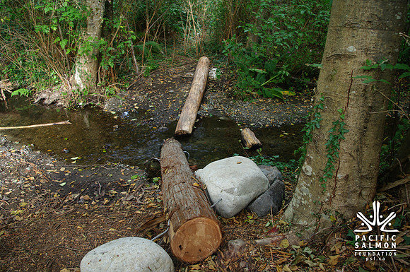 2014 Harbour City River Stewards-68 - LOGO