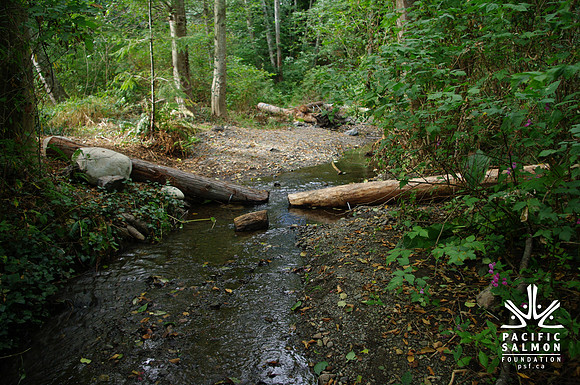 2014 Harbour City River Stewards-70 - LOGO