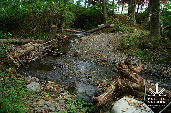 2014 Harbour City River Stewards-71 - LOGO