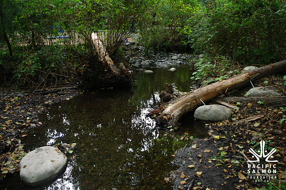 2014 Harbour City River Stewards-72 - LOGO