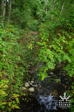 2014 Harbour City River Stewards-74 - LOGO