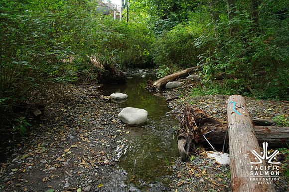 2014 Harbour City River Stewards-77 - LOGO