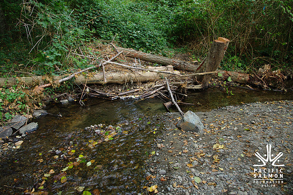 2014 Harbour City River Stewards-78 - LOGO