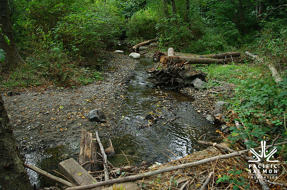 2014 Harbour City River Stewards-79 - LOGO