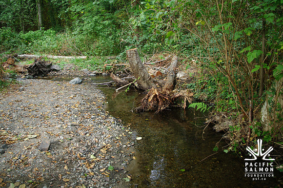 2014 Harbour City River Stewards-80 - LOGO