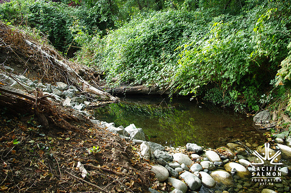 2014 Harbour City River Stewards-81 - LOGO