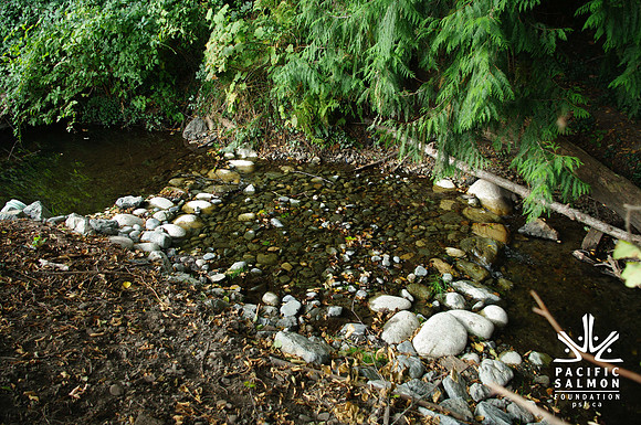 2014 Harbour City River Stewards-82 - LOGO