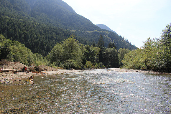 2014 Indian River Watershed Restoration-13