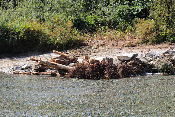 2014 Indian River Watershed Restoration-18