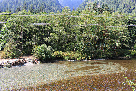 2014 Indian River Watershed Restoration-25