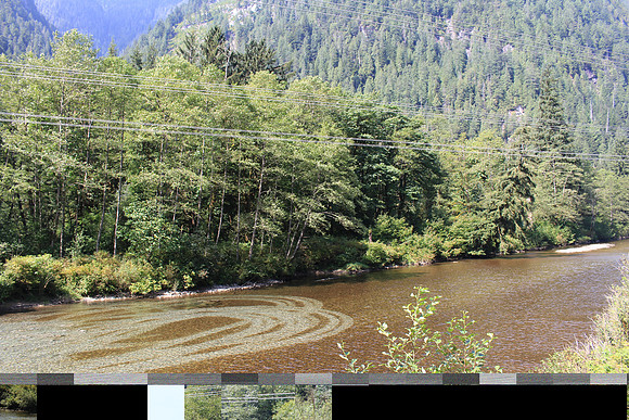 2014 Indian River Watershed Restoration-26