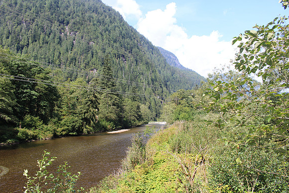 2014 Indian River Watershed Restoration-27