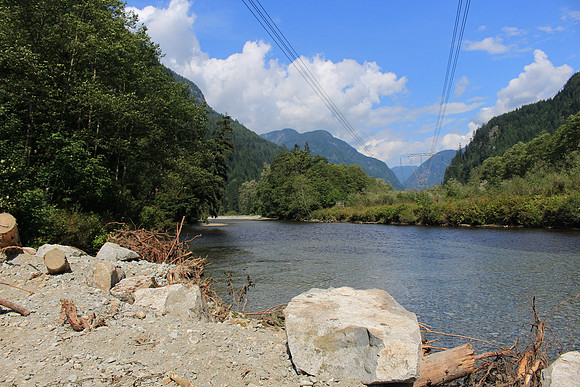 2014 Indian River Watershed Restoration-28