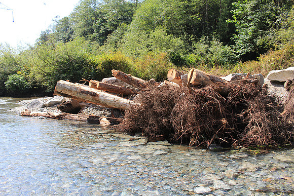 2014 Indian River Watershed Restoration-31