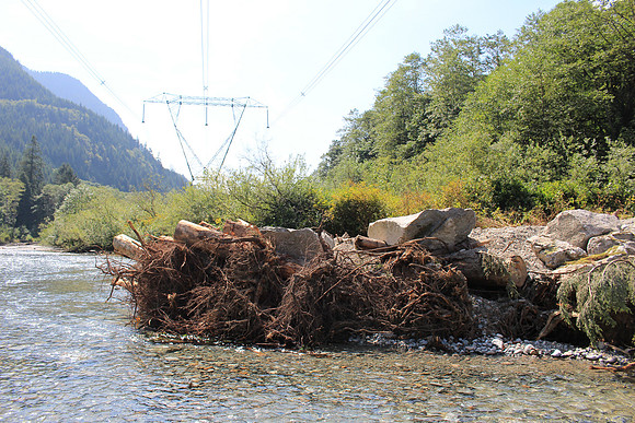 2014 Indian River Watershed Restoration-33