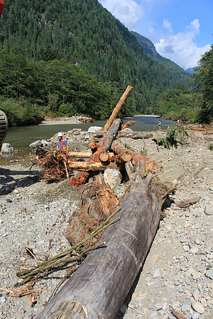 2014 Indian River Watershed Restoration-42