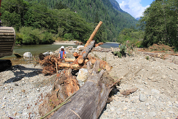 2014 Indian River Watershed Restoration-43