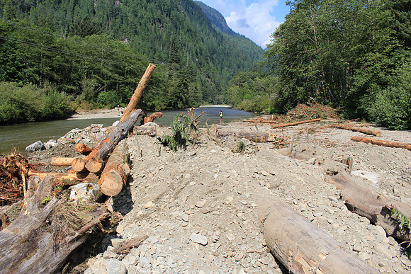 2014 Indian River Watershed Restoration-44