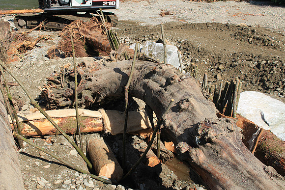 2014 Indian River Watershed Restoration-46