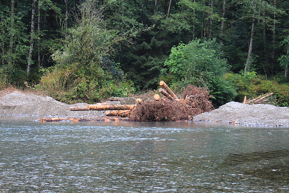 2014 Indian River Watershed Restoration-53