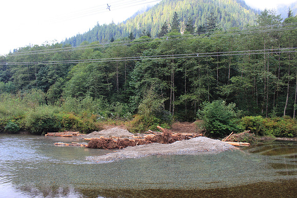 2014 Indian River Watershed Restoration-56